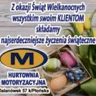 zdjęcie nr 7