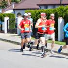 zdjęcie nr 27