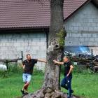 zdjęcie nr 137