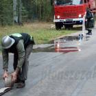 zdjęcie nr 45