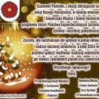zdjęcie nr 14