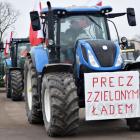 zdjęcie nr 24