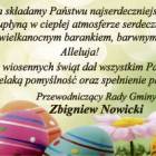 zdjęcie nr 15