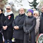 zdjęcie nr 12