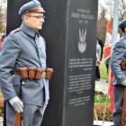 zdjęcie nr 7