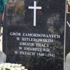 Fotka nr 4 z 13