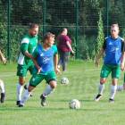zdjęcie nr 135