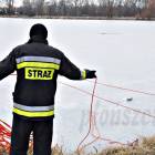 Fotka nr 1 z 59