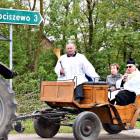zdjęcie nr 22