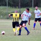 zdjęcie nr 32