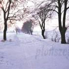 zdjęcie nr 8