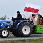 zdjęcie nr 11