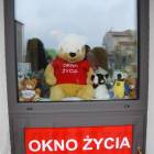 zdjęcie nr 10