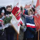 zdjęcie nr 12