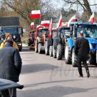 zdjęcie nr 77