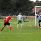 zdjęcie nr 172