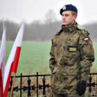 zdjęcie nr 17