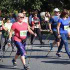 zdjęcie nr 244