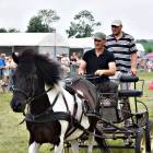 zdjęcie nr 30