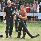 zdjęcie nr 291