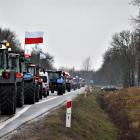 zdjęcie nr 37