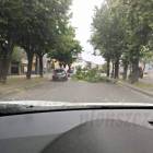 zdjęcie nr 30