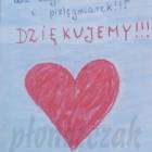 zdjęcie nr 13