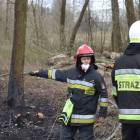 zdjęcie nr 31
