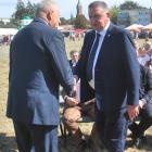 zdjęcie nr 91