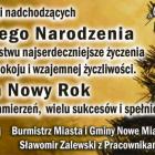 zdjęcie nr 12