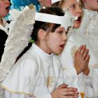 zdjęcie nr 16