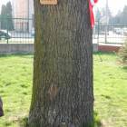 zdjęcie nr 26
