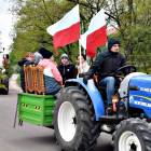 zdjęcie nr 101