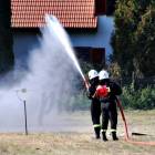 zdjęcie nr 42