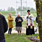 zdjęcie nr 46