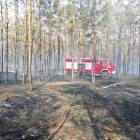 Fotka nr 3 z 14