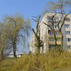 Fotka nr 4 z 13