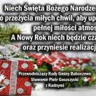 zdjęcie nr 12
