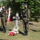 zdjęcie nr 19