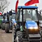 zdjęcie nr 13