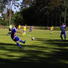 zdjęcie nr 11