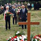 zdjęcie nr 83