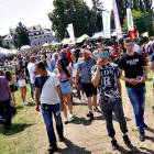 zdjęcie nr 49