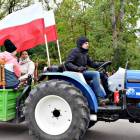 zdjęcie nr 105