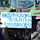 zdjęcie nr 25