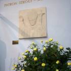 zdjęcie nr 15