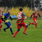 zdjęcie nr 7