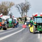 zdjęcie nr 97