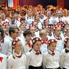 zdjęcie nr 22