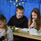 zdjęcie nr 17